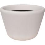 ���¥ץ饹���å� �ե����С����饹���꡼�� ���� 45�� �ۥ磻�� �����ʤ���