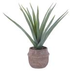 フェイクグリーン観葉植物約幅700...