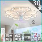 シーリングファンライト 2024 LED 12畳