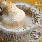  высший класс Ooita префектура производство . дерево культивирование утро .. сырой ..800g мясо толщина сельское хозяйство дом прямая поставка звезда ..... местного производства . дерево культивирование .. высококлассный шиитаке ....