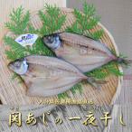 大分 関アジ 一夜干し Sサイズ 佐賀関 漁協 産直 お取り寄せ アジ あじ 鰺 干物