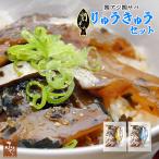 漬け丼 関アジ 関サバ りゅうきゅう