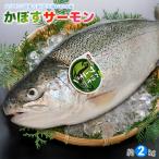 敬老の日 鮮魚 かぼすサーモン 一本物 2kg 大分県産 養殖 ( 丸 / 3枚おろし ) 刺身用 高級魚 ギフト対応 冷蔵 生食用 お取り寄せ 海鮮グルメ 贈答用