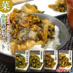 毎日食べたい 大分県産 高菜漬け 4種 セット 1000円 ポッキリ 送料無料 (無添加高菜 ぴり辛い高菜 ザーサイ高菜 高菜ごはんの素)