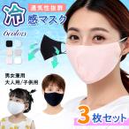 ＼全品売切500円以下／3枚セット 冷感マスク 接触冷感 洗えるマスク 秋用 立体マスク 男女兼用 涼しい 秋マスク アイシクル メール便送無