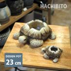  цветочный горшок модный ta-toru pot RR505-235 W23.5cm x D22cm x H7.5cm горшок низ дыра есть животное черепаха цемент стильный 