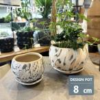 ショッピング陶器 植木鉢 おしゃれ 陶器鉢 アニマルシャロー ポット RR604-085 2.5号(8.5cm) 鉢底穴有り 受け皿付き 丸型 浅型 レパード スネーク