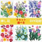 【48h限定999→880円】9セット選べる 天然花 押し花 ハンドメイド 押し花アート デコパーツ ドライフラワー DIY 化粧 手芸 パーツ ブリザードフラワー キット