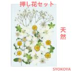 押し花セット ハンドメイド デコパーツ 押し花アート スマホケース装飾 ドライフラワーDIY 化粧 乾燥シート 手芸 パーツ ブリザードフラワー 花材 レジン 貼り絵