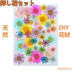 押し花セット ハンドメイド ドライフラワーDIY 化粧 乾燥シート 手芸 パーツ ブリザードフラワー 花材 レジン 貼り絵 デコパーツ 押し花アート スマホケース装飾