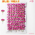 [48h limitation 630-480 jpy ] pressed flower rose rose natural flower hand made deco parts pressed flower art resin dry flower DIY cosmetics handicrafts parts Blizzard flower 10 sheets 