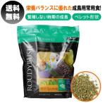 鳥の餌 インコ ラウディブッシュ ニブルズ デイリーメンテナンス 1.25kg ペレット 鳥 餌 インコ餌 鳥用品 鳥用エサ バードフード 極小粒 ペットフード