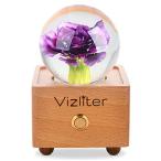 Vizliter Bluetooth Speakers Crystal Ball LED Lighting Premium Preser 並行輸入