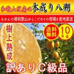 訳あり 木成り はっさく 八朔 10kg 送料無料 和歌山産 柑橘 みかん 旬 果物 フルーツ ハッサク 八朔 訳あり ※サイズ混合 (約30玉〜50玉)