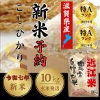 【先行予約】令和7年 近江米 コシヒカリ 玄米 1袋/10kg おいしいお米 こしひかり 滋賀県産 ※精米されておりませんのでご注意ください!