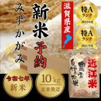 【どこよりも早く入荷しました!】令和7年 近江米 みずかがみ 玄米 1袋/10kg おいしいお米 ミズカガミ 滋賀県産 ※精米されておりませんのでご注意ください!