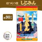 しじみん ビッグタイプ 540粒 国産大和しじみ 1日6粒 約90日分 はつらつ堂