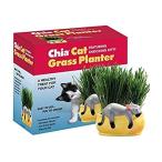 Chia Cat Grass Planter Snoozy Kitty by Chia