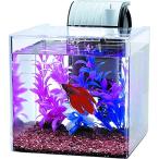  Tetra (Tetra) Tetra тихий .. бойцовая рыбка разведение комплект SF-17BF аквариум аквариум 