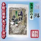 送料無料　手軽に簡単あっさり漬け 海鮮浅漬けの素