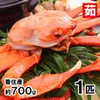 ショッピングズワイガニ 香住産 茹で香住がに 特大 約700g ベニズワイガニ 紅ずわいがに 紅ズワイガニ 香住ガニ カニ かに 蟹 お取り寄せ 産地直送 ギフト