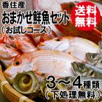 ショッピングお試しセット おまかせ鮮魚セット お試しコース 3〜4種類 送料無料 海鮮ギフト 詰め合せ 日本海の鮮魚 鮮魚ボックス 鮮魚BOX 下処理 お取り寄せ 産地直送 ギフト