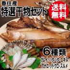 特選干物セット 6種類 送料無料 干物セット 詰め合わせ ひもの カレイ ハタハタ ニギス 海鮮 お取り寄せ ギフト