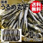 うるめ丸干 1kg 国産 送料無料 ウルメイワシ うるめいわし ウルメ丸干 干物 海鮮 お取り寄せ ギフト
