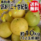 訳あり 鳥取産 二十世紀梨 20世紀梨 10kg 32玉前後 送料無料 自宅用 家庭用 9月10日以降のお届け予定