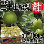 贈答用 鳥取産 二十世紀梨 20世紀梨 3L-10kg 28玉前後 送料無料