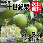 贈答用 鳥取産 二十世紀梨 20世紀梨 2L-3kg 9玉前後 送料無料