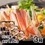 まるごとかに鍋セット 3箱 合計1.8kg 送料無料 ずわいがに ズワイガニ ずわい蟹 ズワイ蟹 かに カニ 蟹 海鮮 お取り寄せ ギフト