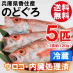 [2026 год 3 месяц последняя декада после доставка ].. производство горло ..5 шт 1 шт 120g передний и задний (до и после) рефрижератор u Logo * внутренности отделка settled бесплатная доставка красный mtsu....nodo Glo морепродукты ваш заказ подарок 