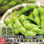 [ время ограничено ] Hokkaido производство утро .. ветка бобы 1kg (500g×2) рука .. сельское хозяйство . прямая поставка свежий .... ветка .. закуска рефрижератор холм рисовое поле сельское хозяйство . прямая поставка от производителя 
