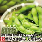 [ время ограничено ] Hokkaido производство утро .. ветка бобы 2kg (500g×4) рука .. сельское хозяйство . прямая поставка свежий .... ветка .. закуска рефрижератор холм рисовое поле сельское хозяйство . прямая поставка от производителя 