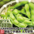 [ время ограничено ] Hokkaido производство утро .. ветка бобы 3kg (500g×6) рука .. сельское хозяйство . прямая поставка свежий .... ветка .. закуска рефрижератор холм рисовое поле сельское хозяйство . прямая поставка от производителя 