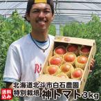  подарок на Bon Festival бог помидор Hokkaido белый камень сельское хозяйство .3kg (12 шт передний и задний (до и после) ) овощи сомелье summit золотой . специальный культивирование подарок овощи средний шар роскошь рефрижератор сельское хозяйство . прямая поставка 