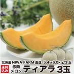 [ время ограничено ] Hokkaido производство красный мясо дыня Tiara 3 шар (1.8~2.0kg/ шар ).. товар лето подарок фрукты производство прямой сельское хозяйство . прямая поставка niseko блок NIWA FARM