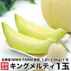 [ время ограничено ] Hokkaido синий мясо дыня King meruti1 шар (1.8~2.0kg/ шар ).. лето подарок фрукты производство прямой сельское хозяйство . прямая поставка niseko блок NIWAFARM