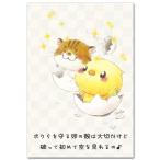 今日もいい天気ポストカード 卵の殻 応援