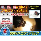 12V HB4 оригинальный сменный галоген лампочка противотуманая фара клапан(лампа) 2 шт. комплект 
