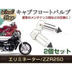 エリミネーター250/400 ZZR250 フロートバルブ CVキャブ 2個セット シルバー 純正品番 16030-1007 互換品 交換 補修 修理 メンテナンス等に