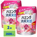 ハミング 消臭実感 柔軟剤 つめこみ洗いも、部屋干しも、無敵消臭! 内Nｏ.1抗菌 ローズ&