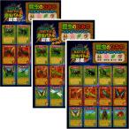 昆虫図鑑 A4下敷き 男の子 昆虫好き 教育玩具 知育グッズ 自由研究 小学生 文房具 ジャンケンゲーム プレゼント カード風バトル 遊び方マンガ付 3枚セット