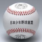 ミズノ 硬式野球ボール ボーイズリーグ 日本少年野球連盟 試合球 1BJBL71100 1ダース 受注生産