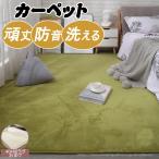 ラグ カーペット ラグマット 洗える 2畳 180×200 50X80 おしゃれ 長方形 春 夏 オールシーズン 滑り止め付き 北欧 冬 ホットカーペット カバー
