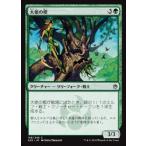 MTG ■緑/日本語版■ 《大使の樫/Ambassador Oak》マスターズ25th A25