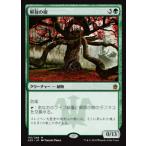 MTG ■緑/日本語版■ 《解放の樹/Tree of Redemption》マスターズ25th A25