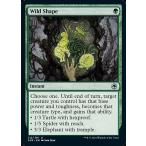 MTG ■緑/英語版■ 《自然の化身/Wild Shape》フォーゴトン・レルム探訪　AFR