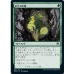 MTG ■緑/日本語版■ 《自然の化身/Wild Shape》フォーゴトン・レルム探訪　AFR